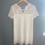 NWT cupcakes and cashmere ivory lace shift dress White Photo 8