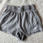 The North Face North The Face Grey Sweatshorts XS Photo 0
