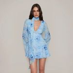 Danielle Guizio  Blue Floral Dress Photo 1