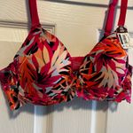 No Boundaries  36B Push Up Bra Pink Orange Tropical Floral Lace NWT Photo 4
