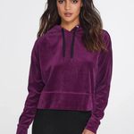 Calvin Klein Performance Purple Velvet Hoodie Photo 0