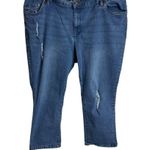 Woman Within Distressed Denim Jeans Size 22W From Bangladesh Photo 4