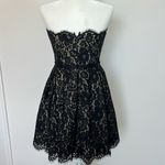 Robert Rodriguez  Black Lace Strapless Fit Flare Mini Cocktail Dress Size 8 Photo 3