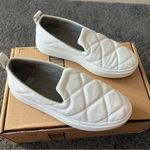 Eileen Fisher nappa quilted slip on sneakers Photo 3