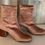 Free People Velvet Cecile Bootie In Rose Soft Blush Pink Ankle Boots Photo 0