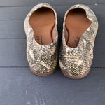 Zodiac  Snakeskin Print Flats Size 9.5 Photo 4