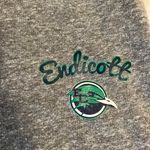 Concepts Sport Endicott College Logo Sweatpants  Photo 2