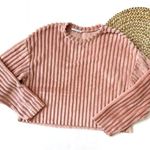 ZARA  Trafaluc Blush Ribbed Cropped Sweater Photo 0