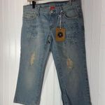 Vanilla Star Jeans Y2K Vanilla Star Floral Embroidered Low Rise Jeans NWT Distressed Size 9 Photo 0