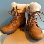 UGG  Nadja Chestnut Suede Waterproof Boots Photo 0