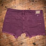 American Eagle  burgundy 6 cutoff festival normcore shorts Photo 1