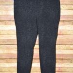 The Limited Women's Pants Size 20W Black Animal Snakeskin Print Pockets Straight Photo 0