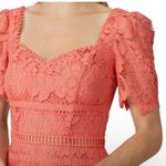 Saylor  Louisa MIDI Lace Dress in Coral Size Small EUC Photo 1
