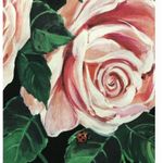 Dolce & Gabbana nwt dolce&gabanna rose print dress Photo 5