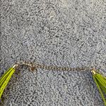 C Est 1946 Multi Strand Beaded Lime Green Necklace Photo 2