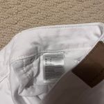 American Eagle Shorts Photo 2