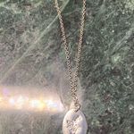 December Birth Month Flower Holly Necklace 925 Sterling Silver 19” Photo 1