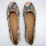 Madewell Adelle Ballet Flat in Snake Embossed Leather, women's size 7 Photo 3