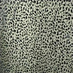 Sienna Sky Women’s Black&White  Skirt Photo 2