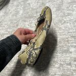 Sam Edelman  Felicia Snake Print Leather Ballet Flats Size 6.5 US Photo 1