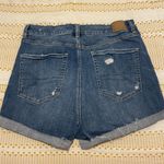 American Eagle Outfitters Shorts Photo 0