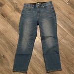 White House | Black Market  Woman’s  Blue Denim Jeans Size 10 Med Wash Photo 0