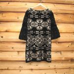 Eliza J  Black Velvet Dress Photo 5