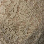 LC Lauren Conrad 🤍💙 Beautiful lace dress - NWT Photo 1