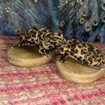 Not Rated  Size 8 Animal Print Sandals Photo 1
