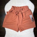 HYFVE NWT Dry Goods Burnt Orange Paperbag Cargo Shorts Photo 0