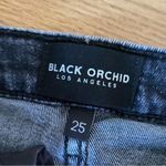 Black Orchid Photo 2