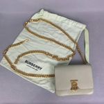 Burberry Sage Green Leather TB Belted Small Square Bag Gold Hardware Designer Photo 0