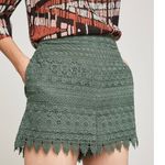 BCBGMAXAZRIA NWT Sage Green Lace Shorts Photo 1