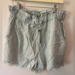 Pink Lily Pink Lilly brand new size XL light blue paper bag waste shorts Photo 0