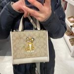 Coach Dempsey Tote 22 In Signature Canvas With Tiger print C7001 Photo 2