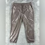 The Reset R Label Vegan Leather Jogger Pants Moto Edgy Downtown Quiet Luxury Brown Size L Photo 1