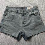 American Eagle Ex Boyfriend Denim Shorts Photo 0