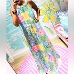Lilly Pulitzer Shawn Maxi Dress Photo 4