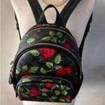 Coach MINi Court Backpack In Signature Canvas With Fairytale Rose Print unique Photo 0