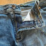 Jeans Lee 1889 Blue Denim Embroidered Peacock Mini Skirt Size 17M Western Photo 9