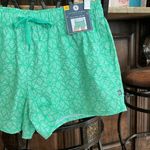Lauren James  Mint Green Print Shorts Womens Medium Elastic Drawstring Photo 5