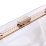 Clear and gold acrylic purse! Super cool! Gold Photo 4