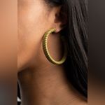 Paparazzi Suede Parade Green Earrings (103) Photo 1