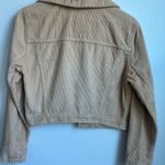 Hollister  Beige Knit‎ Sweater Photo 11