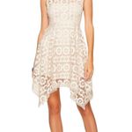 Free People Womens Just Like Honey Lace Dress Size Large Photo 0