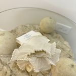 Urban Outfitters  Pearl Ruffle Lace Crew Sock in White Size OS NWT Photo 1