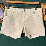 Carve Designs  Oahu Shorts Size 4 Mint Green Photo 0