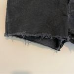 Everlane The Cheeky Short Denim Button Up Raw Hem Jean Shorts Size 30 Photo 1
