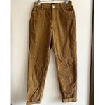 Urban Outfitters BDG  Mustard Tan Corduroy Straight Leg Pants - 25 Photo 3