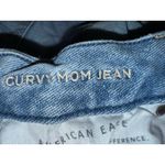 American Eagle  AE curvy mom Jean size 10 short distressed cut light wash denim Photo 4